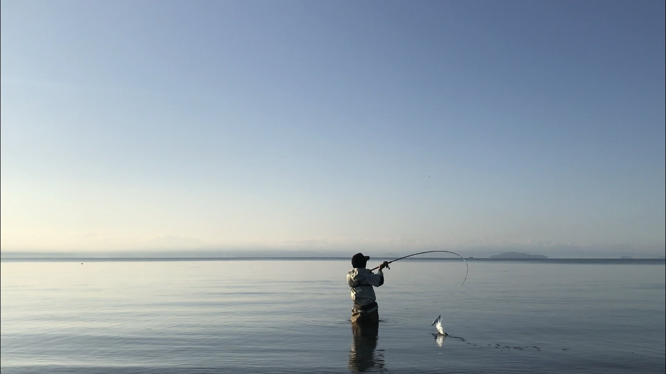 琵琶湖 ウェーディングに超おすすめ ゴアテックスウェーダーが神過ぎる ｋのフィッシングちゃんねるブログ