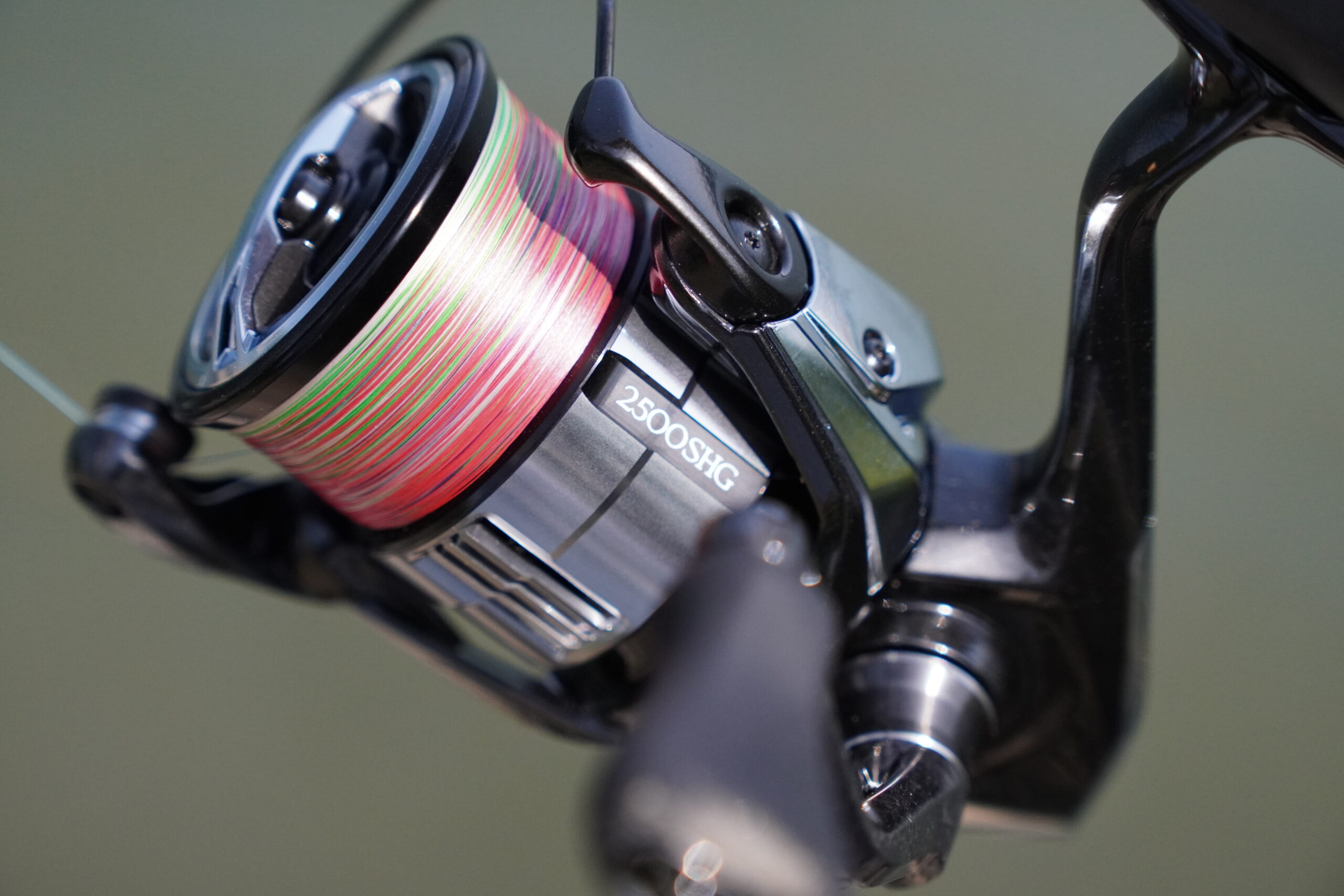 SHIMANO - 19ヴァンキッシュC3000MHGの+rallysantafesinooficial.com